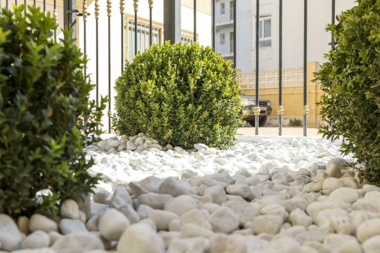 Calmo Singular Apartments Gandia Exterior photo